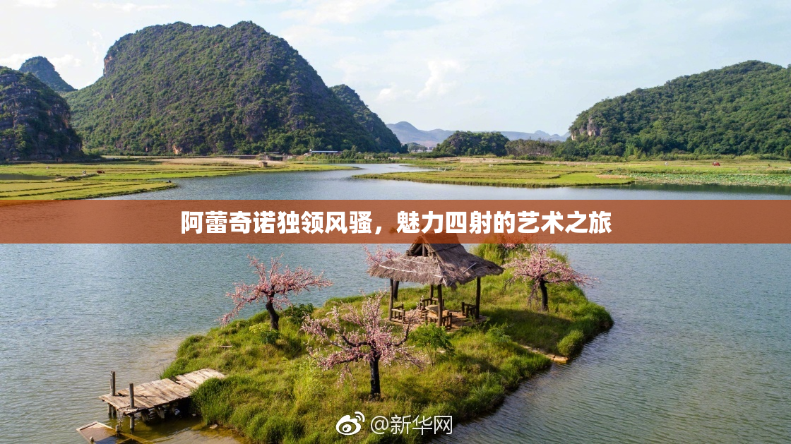 阿蕾奇诺独领风骚，魅力四射的艺术之旅
