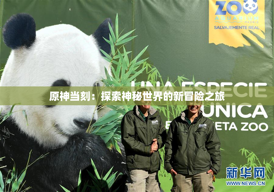 原神当刻：探索神秘世界的新冒险之旅