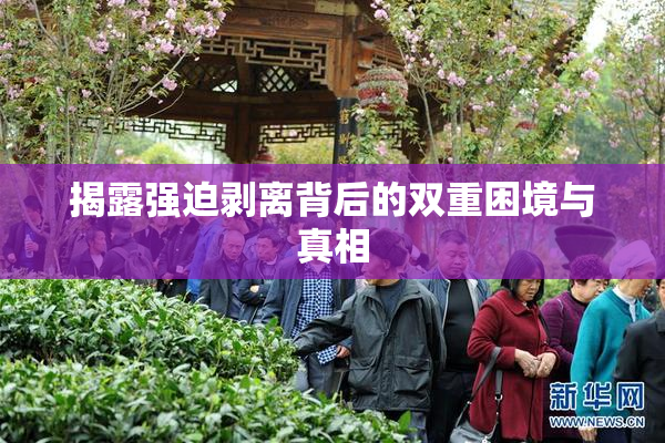 揭露强迫剥离背后的双重困境与真相