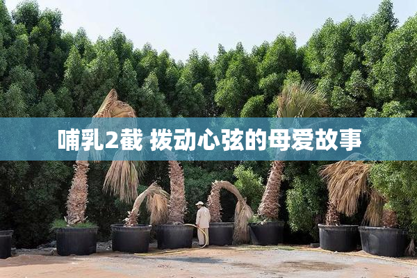 哺乳2截 拨动心弦的母爱故事