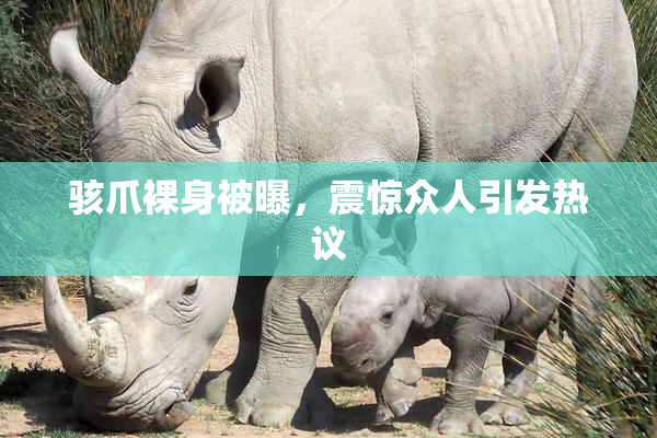 骇爪裸身被曝，震惊众人引发热议