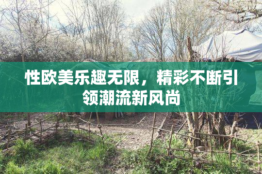 性欧美乐趣无限，精彩不断引领潮流新风尚