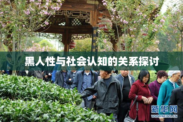 黑人性与社会认知的关系探讨