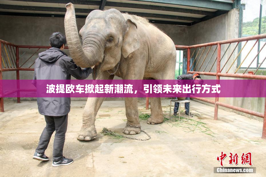 波提欧车掀起新潮流，引领未来出行方式