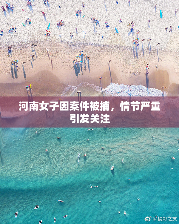 河南女子因案件被捕，情节严重引发关注