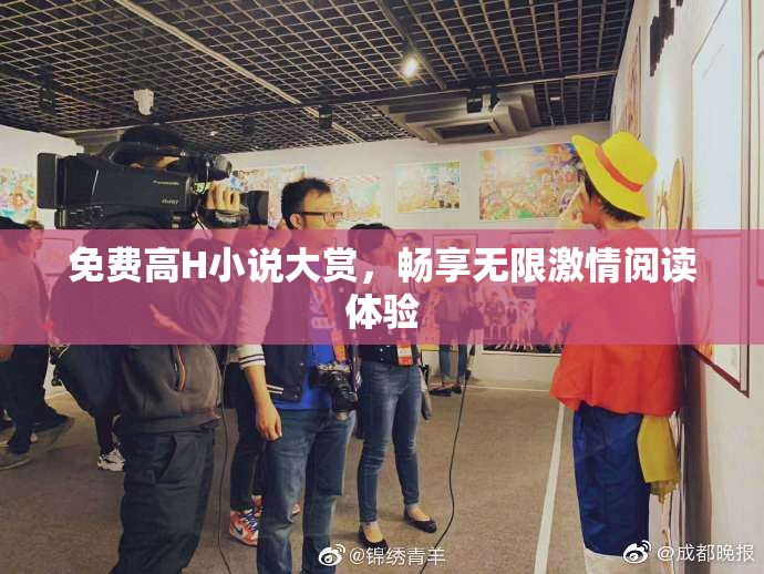 免费高H小说大赏，畅享无限激情阅读体验