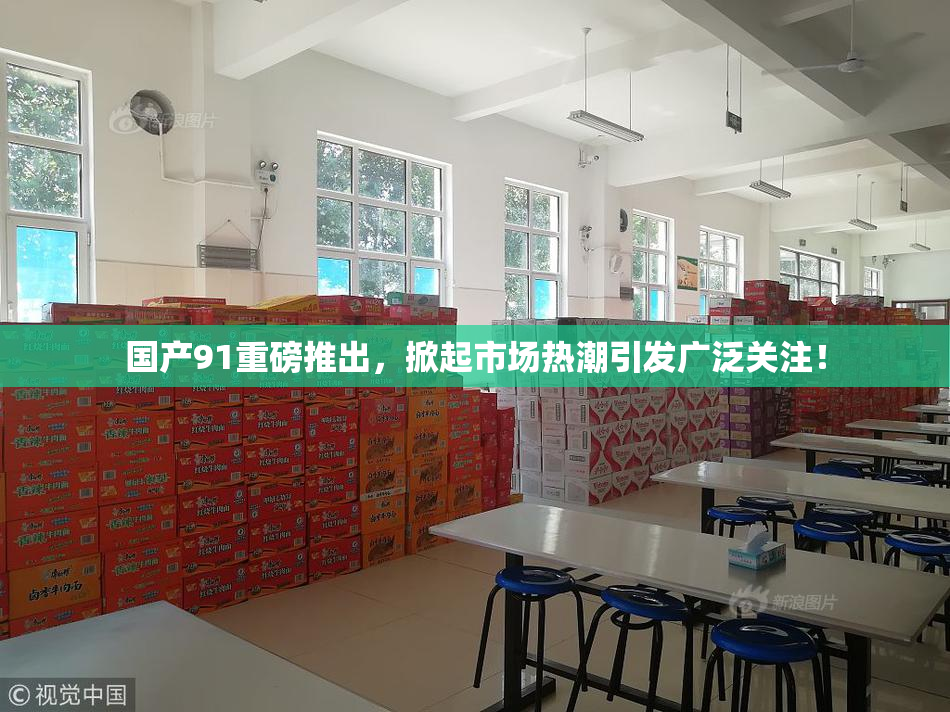 国产91重磅推出，掀起市场热潮引发广泛关注！