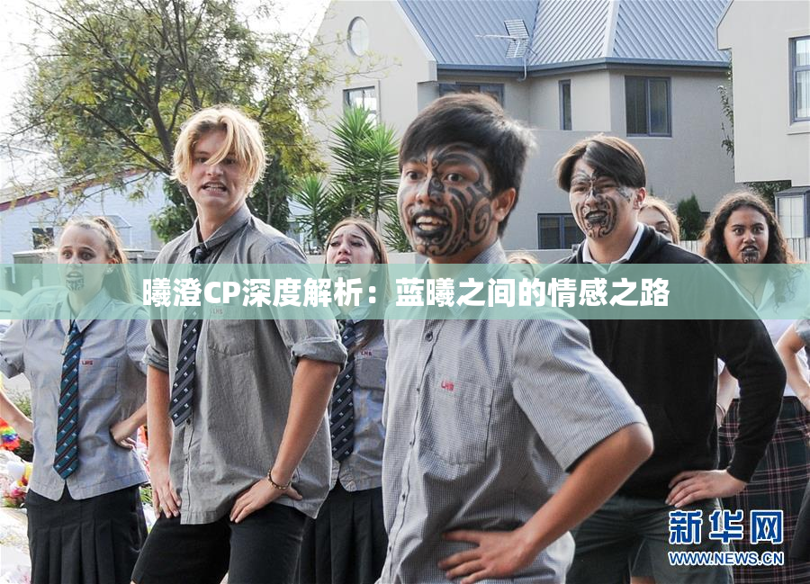 曦澄CP深度解析：蓝曦之间的情感之路