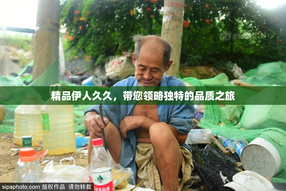 精品伊人久久，带您领略独特的品质之旅