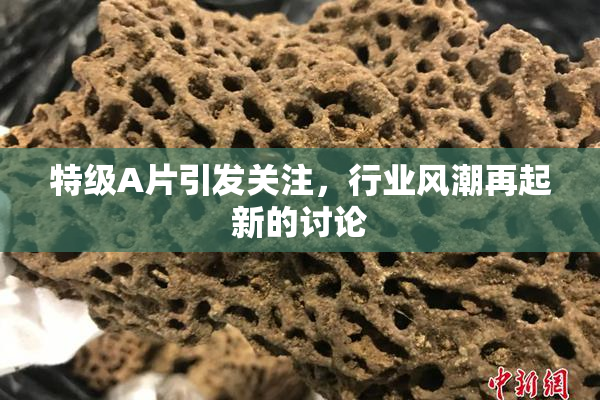 特级A片引发关注，行业风潮再起新的讨论