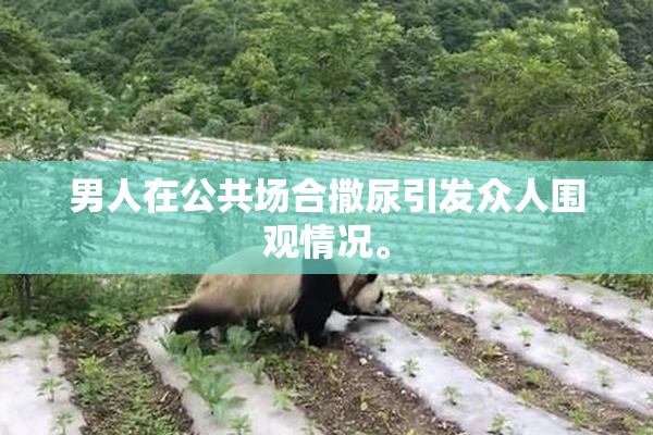 男人在公共场合撒尿引发众人围观情况。