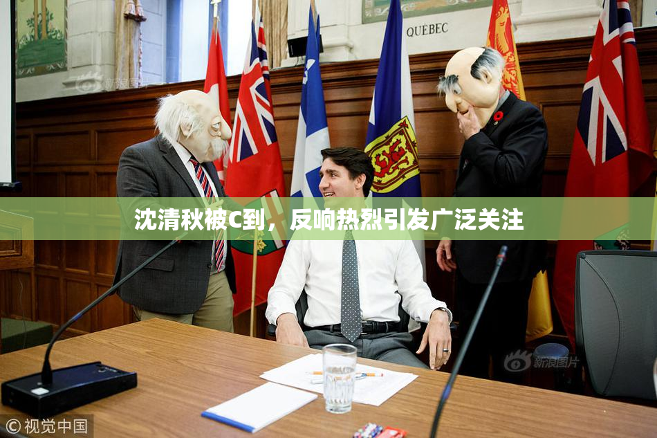 沈清秋被C到，反响热烈引发广泛关注