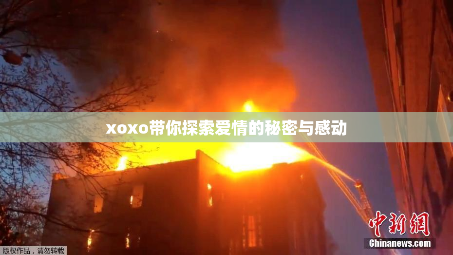 xoxo带你探索爱情的秘密与感动