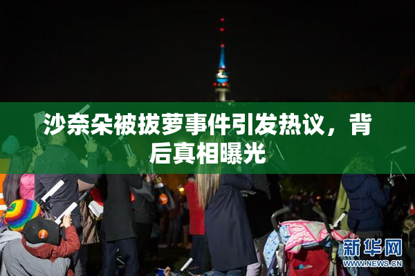沙奈朵被拔萝事件引发热议，背后真相曝光