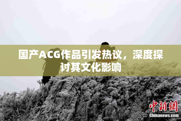 国产ACG作品引发热议，深度探讨其文化影响