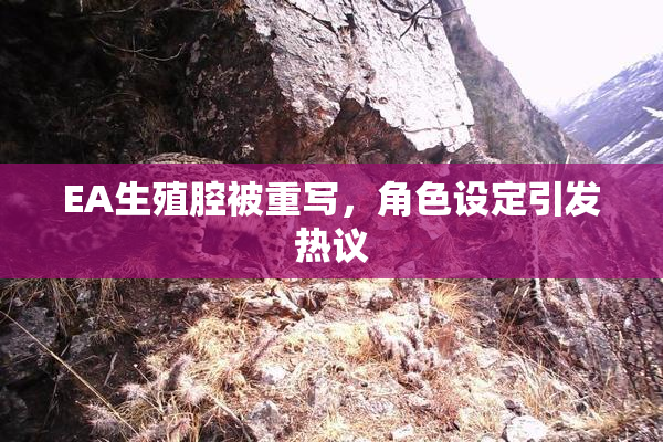 EA生殖腔被重写，角色设定引发热议