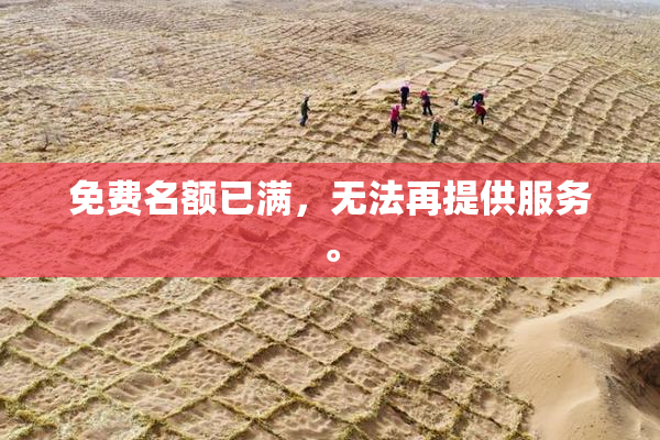 免费名额已满，无法再提供服务。