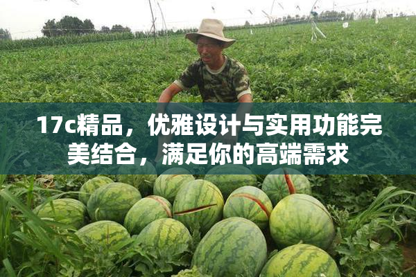 17c精品，优雅设计与实用功能完美结合，满足你的高端需求