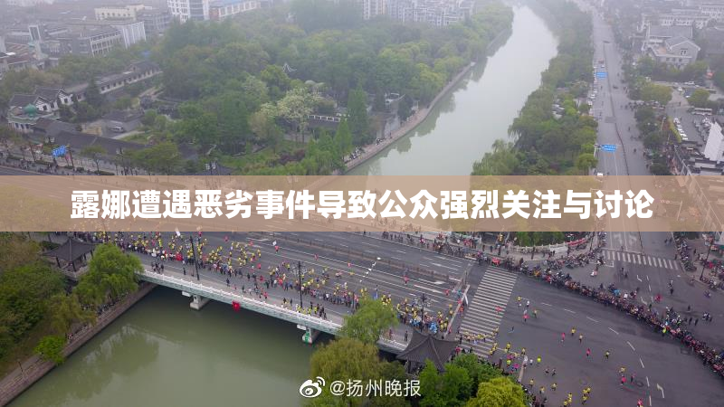 露娜遭遇恶劣事件导致公众强烈关注与讨论