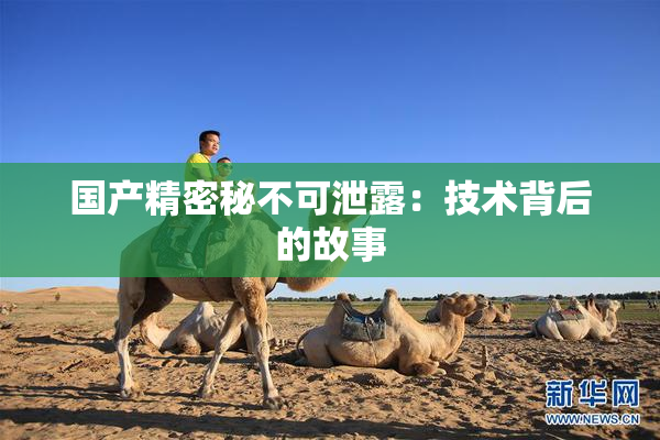 国产精密秘不可泄露：技术背后的故事
