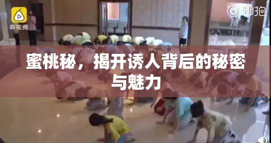 蜜桃秘，揭开诱人背后的秘密与魅力