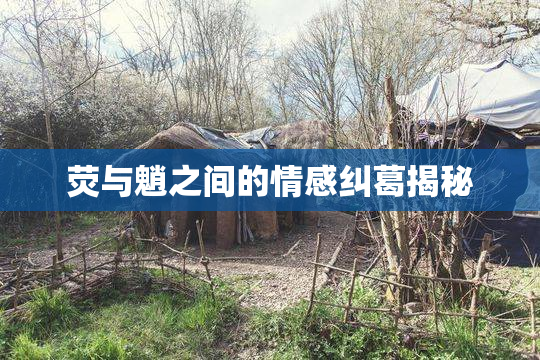 荧与魈之间的情感纠葛揭秘