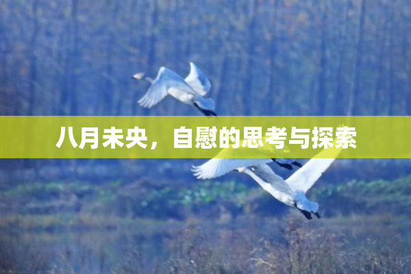 八月未央，自慰的思考与探索