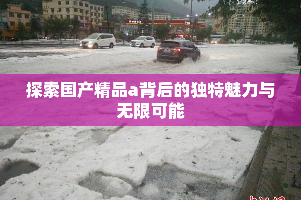 探索国产精品a背后的独特魅力与无限可能