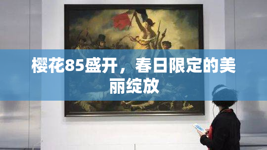 樱花85盛开，春日限定的美丽绽放