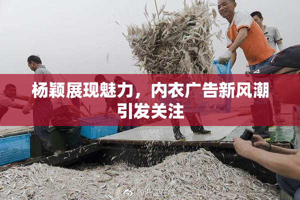 杨颖展现魅力，内衣广告新风潮引发关注