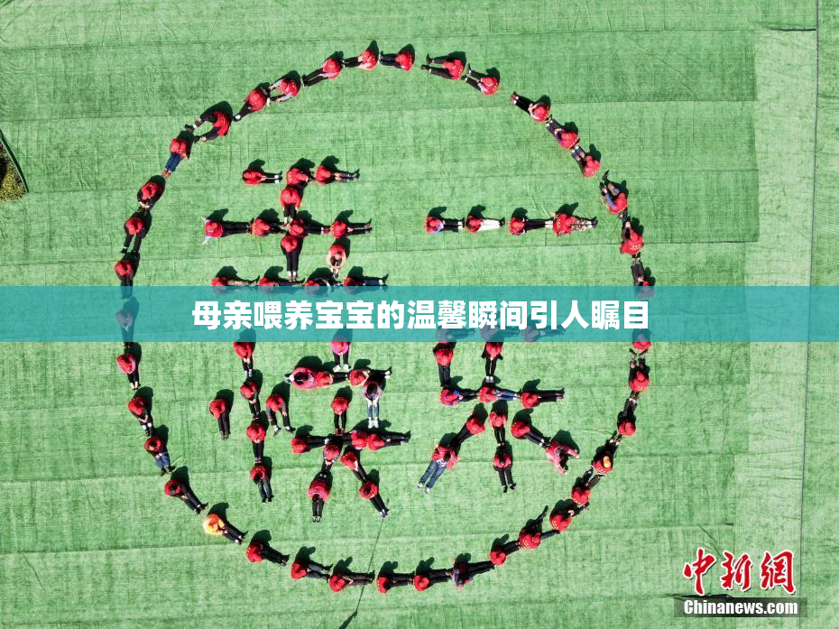 母亲喂养宝宝的温馨瞬间引人瞩目