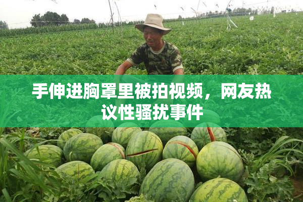手伸进胸罩里被拍视频，网友热议性骚扰事件