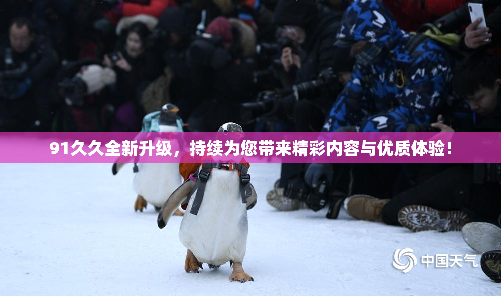 91久久全新升级，持续为您带来精彩内容与优质体验！