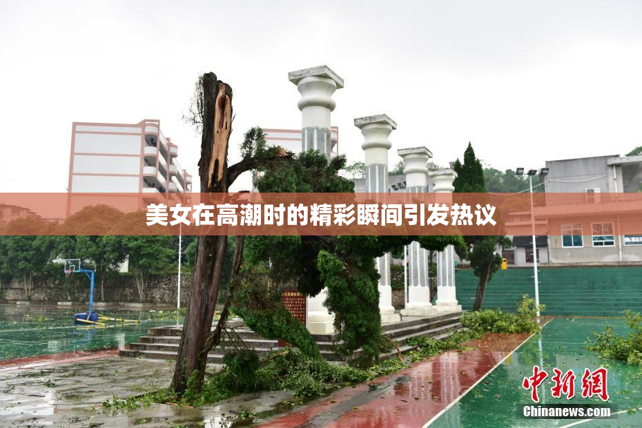 美女在高潮时的精彩瞬间引发热议