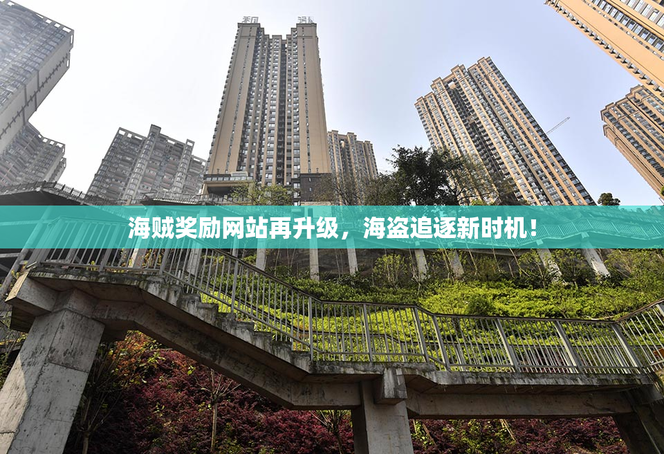 海贼奖励网站再升级，海盗追逐新时机！