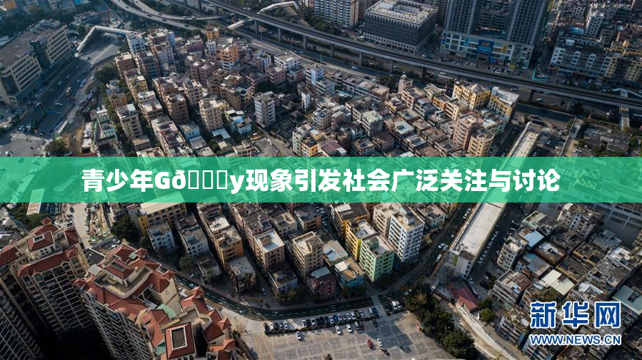 青少年G🈚y现象引发社会广泛关注与讨论