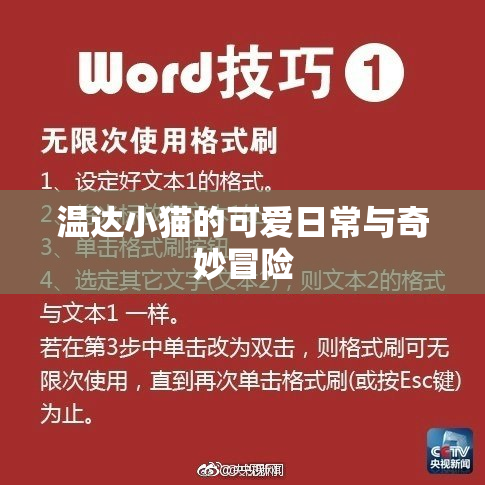 温达小猫的可爱日常与奇妙冒险