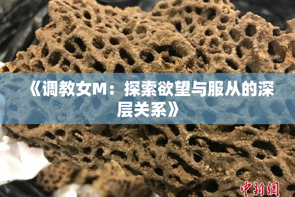 《调教女M：探索欲望与服从的深层关系》