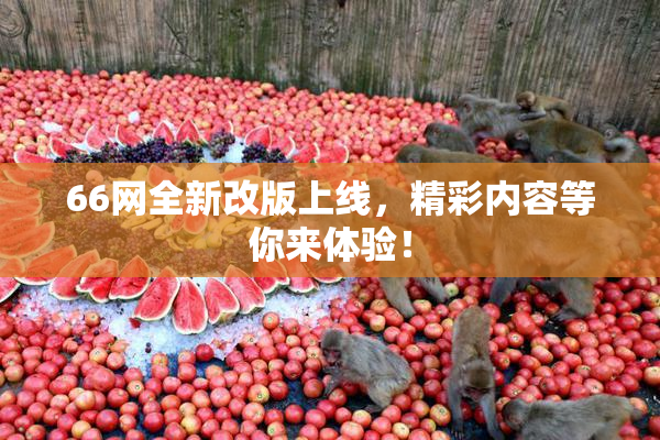 66网全新改版上线，精彩内容等你来体验！