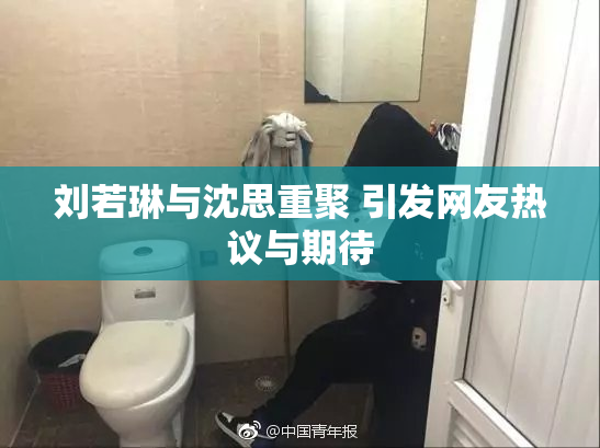 刘若琳与沈思重聚 引发网友热议与期待