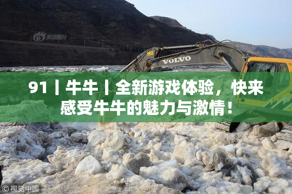 91丨牛牛丨全新游戏体验，快来感受牛牛的魅力与激情！