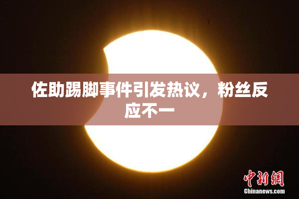佐助踢脚事件引发热议，粉丝反应不一