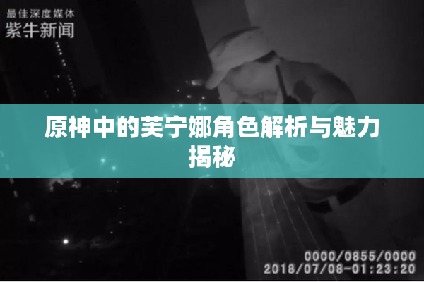 原神中的芙宁娜角色解析与魅力揭秘