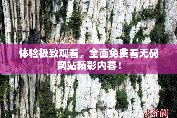 体验极致观看，全面免费看无码网站精彩内容！