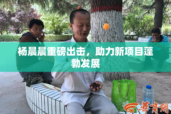杨晨晨重磅出击，助力新项目蓬勃发展