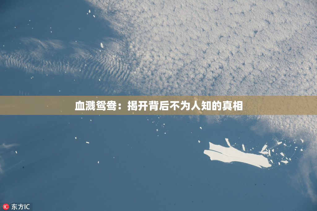 血溅鸳鸯：揭开背后不为人知的真相