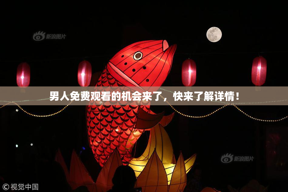 男人免费观看的机会来了，快来了解详情！