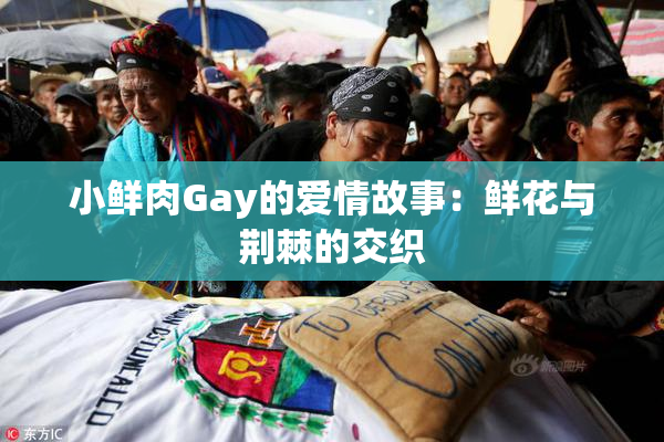 小鲜肉Gay的爱情故事：鲜花与荆棘的交织