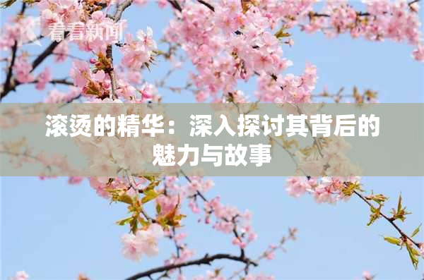 滚烫的精华：深入探讨其背后的魅力与故事