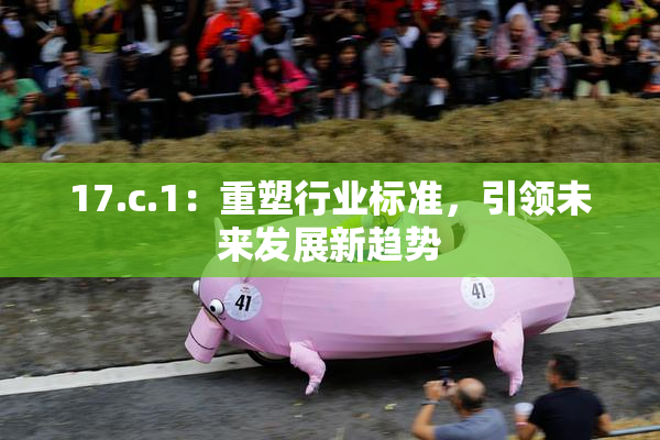 17.c.1：重塑行业标准，引领未来发展新趋势
